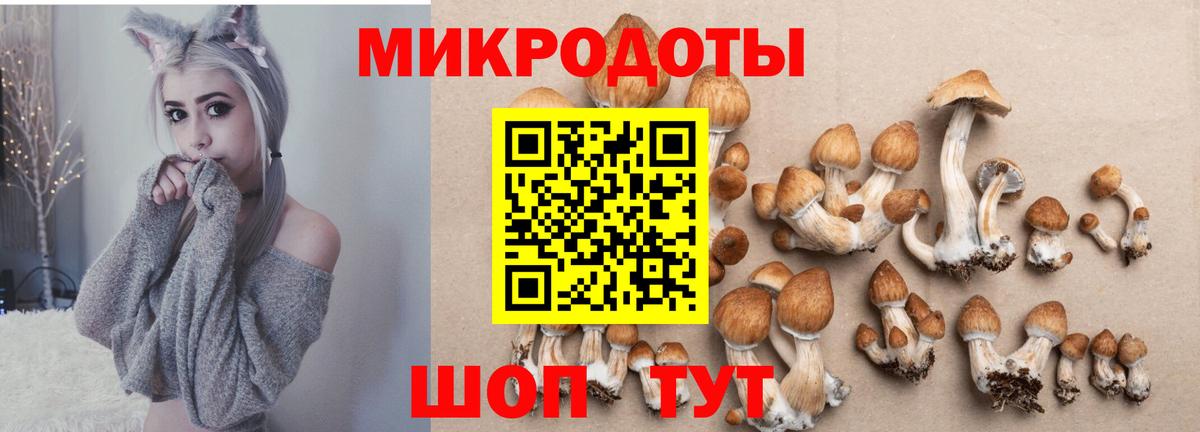 Галлюциногенные грибы мухоморы  Галлюциногенные грибы Psilocybine cubensis  даркнет сайт  Вход с VPN  Киров 